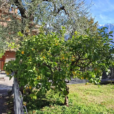 Apartamento Oma Margareta
