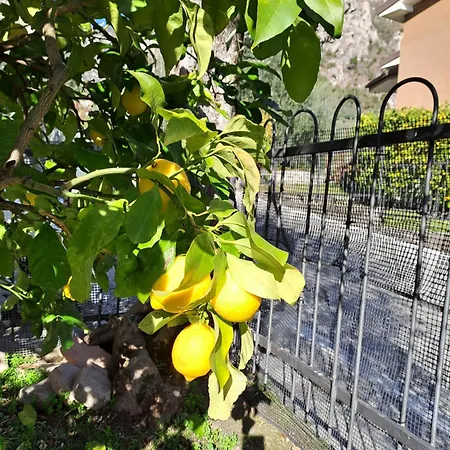 Oma Margareta Limone sul Garda